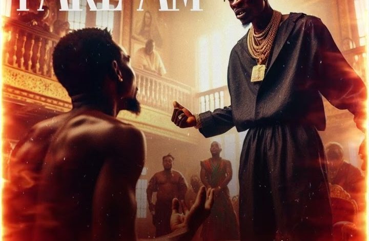 Shatta Wale - Take Am