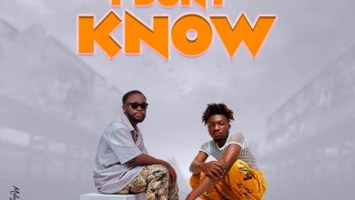 Jhade Stone - I Don't Know Ft Kwesi Amewuga