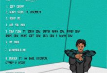 Skyface SDW - The Menace II (Full Album)