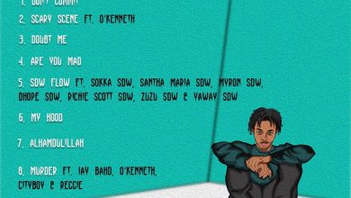 Skyface SDW - The Menace II (Full Album)