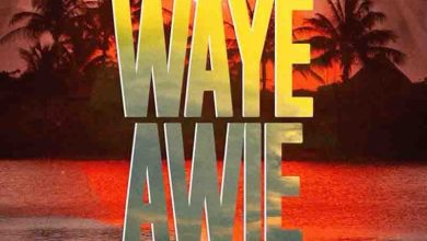 Kweku Darlington - Waye Awie