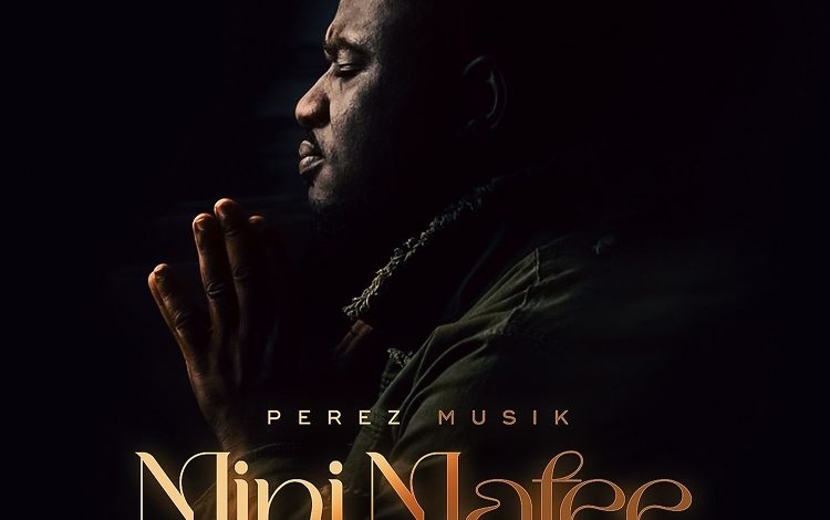 Perez Musik - Mini Mafee (What Will I Do)