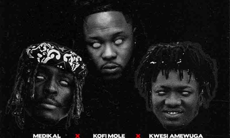 Medikal - Apicki Ft. Kwesi Amewuga & Kofi Mole