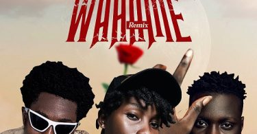 Kwesi Trapper - Wahame (Remix) Ft. Uptee & LBlay