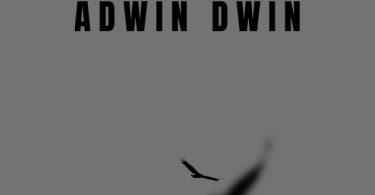 AmakyetheRapper - Adwin Dwin