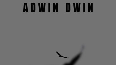 AmakyetheRapper - Adwin Dwin