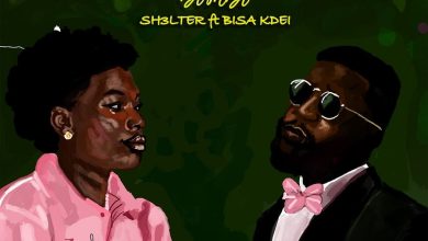 Sh3lter - Ama Ft. Bisa Kdei