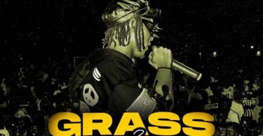 Striker De Donzy - Grass 2 Grace