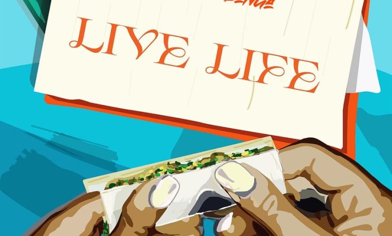 Sean Lifer - Live Life Ft. Kawabanga