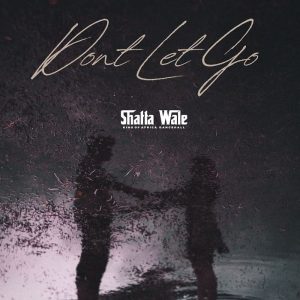 Shatta Wale - Don't Let Go