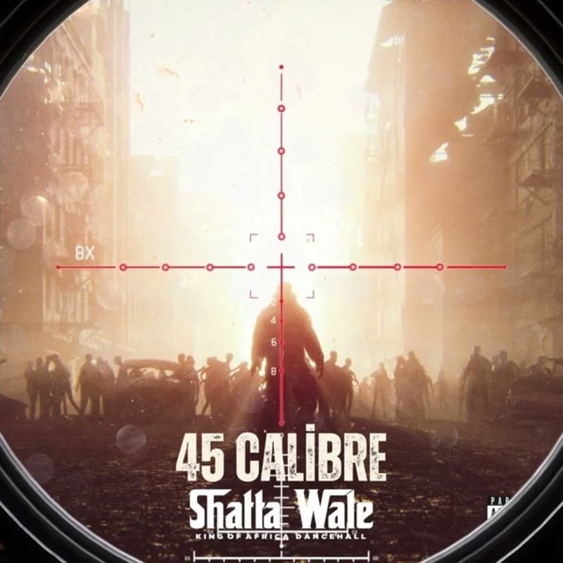 Shatta Wale - 45 Calibre