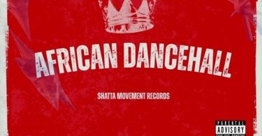 Shatta Wale - African Dancehall