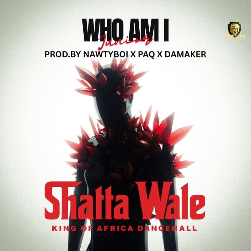Shatta Wale - Who Am I