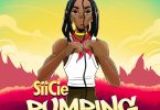 Siicie - Pumping