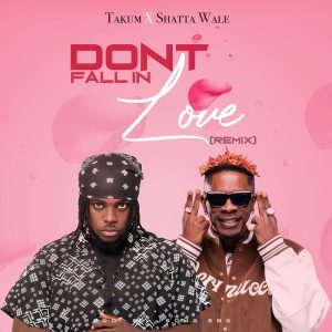 Takum - Don't Fall In Love (Remix) Ft. Shatta Wale