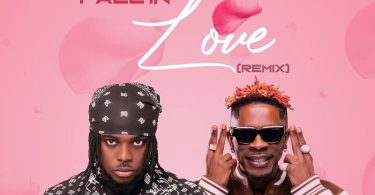 Takum - Don't Fall In Love (Remix) Ft. Shatta Wale