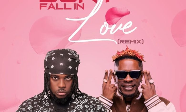 Takum - Don't Fall In Love (Remix) Ft. Shatta Wale