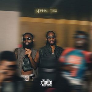 Yung D3mz - Normal Ting Ft. Seff