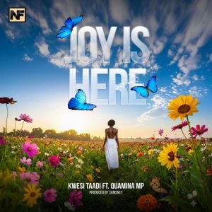 Kwesi Taadi - Joy Is Here Ft. Quamina MP