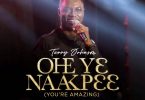 Terry Johnson - Ohe Yɛ Naakpɛɛ (You Are Amazing)