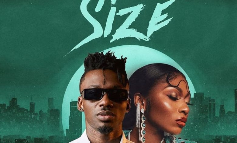 Freddy Blaze - Size Ft. Sefa