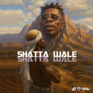 Nii Playboii - Shatta Wale