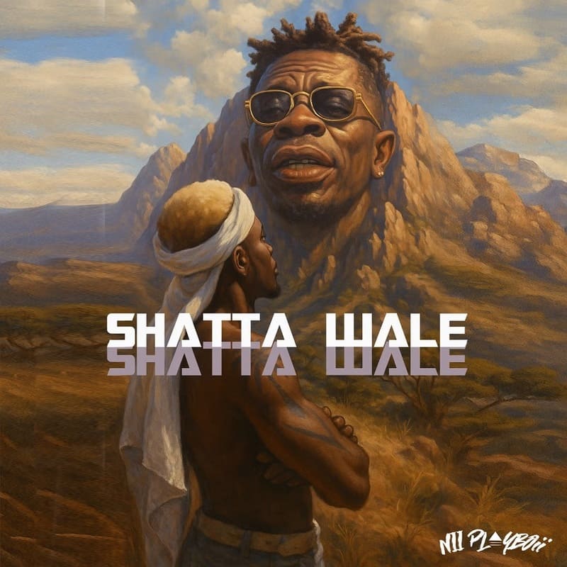 Nii Playboii - Shatta Wale