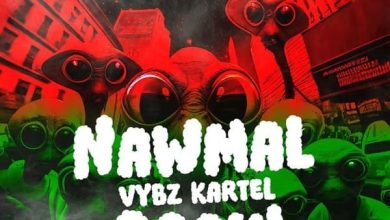 Vybz Kartel - Nawmal Again