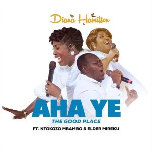 Diana Hamilton - Aha Ye (The Good Place) Ft. Elder Mireku