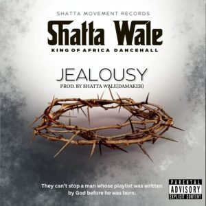 Shatta Wale - Jealousy