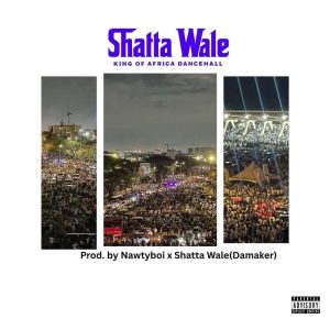 Shatta Wale - ShattaFest