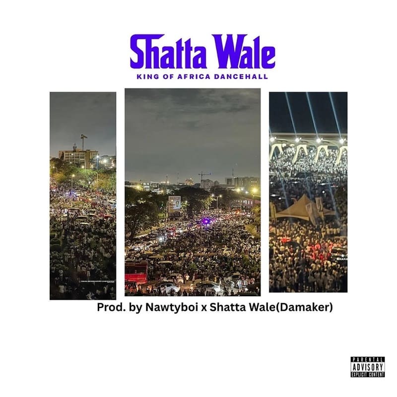 Shatta Wale - ShattaFest