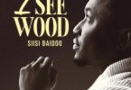 Siisi Baidoo - I See Wood