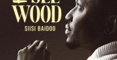 Siisi Baidoo - I See Wood