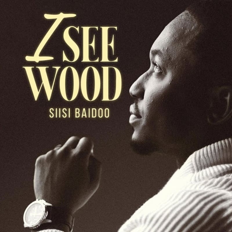 Siisi Baidoo - I See Wood