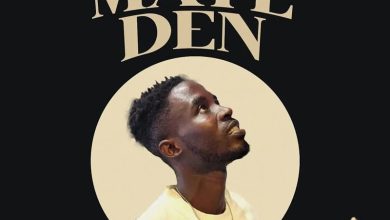 Phrenzy-Style - Maye Den