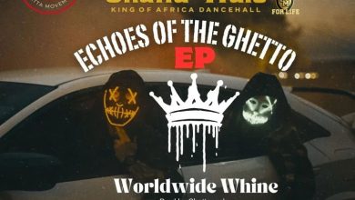Shatta Wale - Worldwide Whine