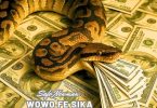 Safo Newman - Wowo Fe Sika