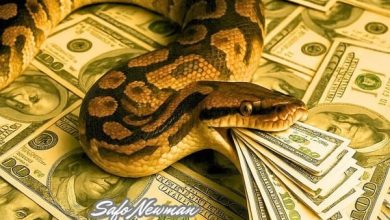 Safo Newman - Wowo Fe Sika