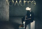 RGM Wonder - Adwuma