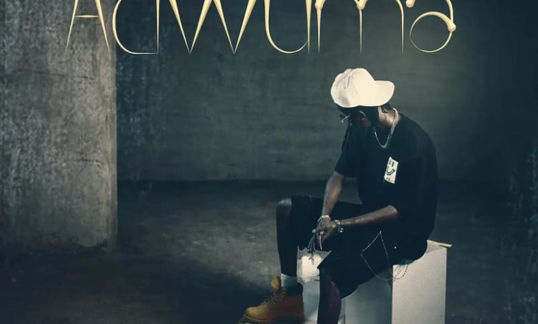 RGM Wonder - Adwuma