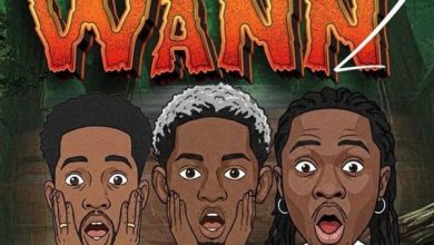 Willie Kings - Wann (Remix) Ft. Ypee & Cojo Rae