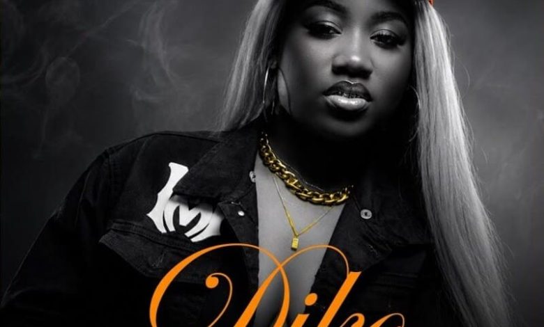 Obaa Kumson - Diko