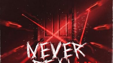 Captan - Never Real (Ara B Diss)