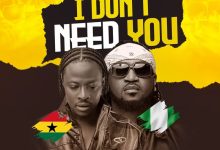 Fancy Gadam - I Don't Need You Ft. Rudeboy