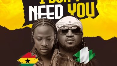 Fancy Gadam - I Don't Need You Ft. Rudeboy