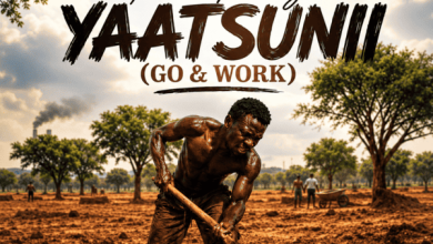 Nii Funny - Yaatsunii (Go & Work)
