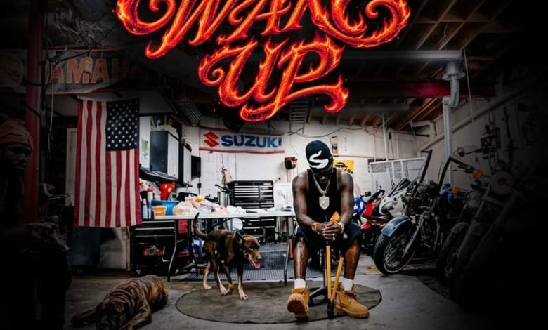 Stonebwoy - Wake Up