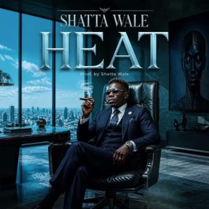 Shatta Wale - Heat